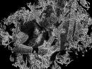 Аватар для METALLSTRIKE